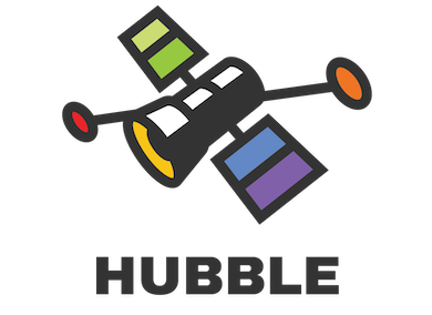 Hubble Network Observability
